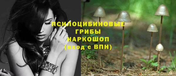 ECSTASY Михайловка