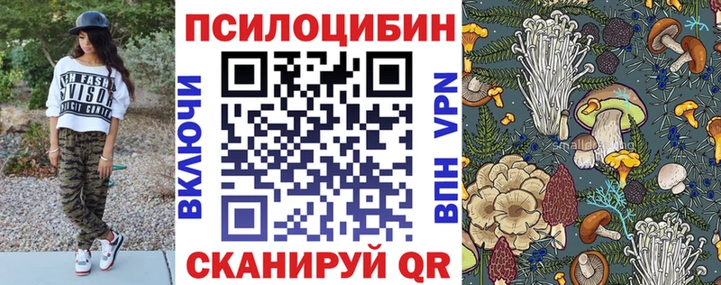 где продают   Южно-Сахалинск  ссылка на мегу как войти  Галлюциногенные грибы Magic Shrooms 