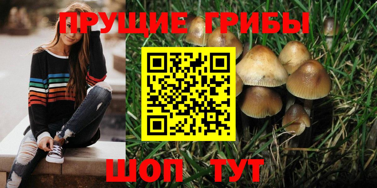 Псилоцибиновые грибы Psilocybe  Вход с VPN  Южно-Сахалинск 